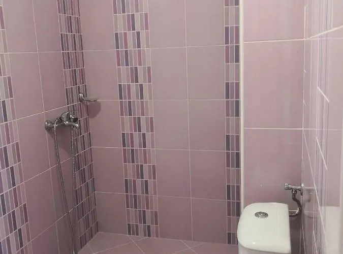 招待所 свети кирил